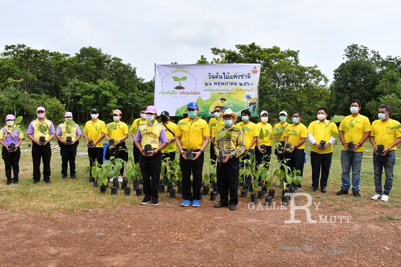 20210526-Tree planting dayt-062.JPG